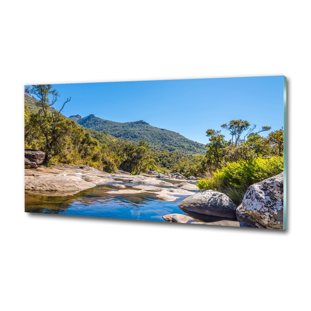 Tableau imprimé sur verre Rivière dans la forêt