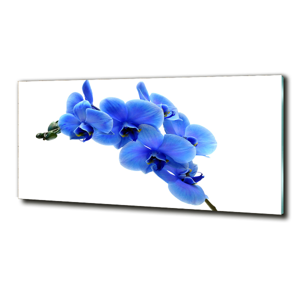 Tableau verre imprimé Orchidée bleue
