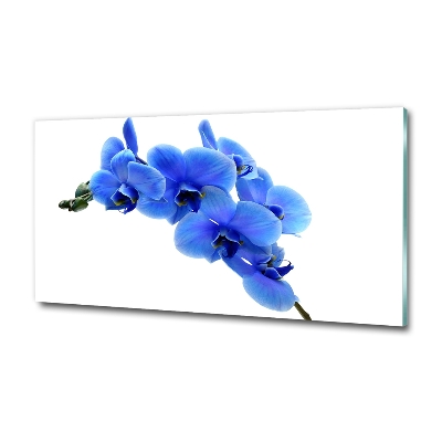 Tableau verre imprimé Orchidée bleue