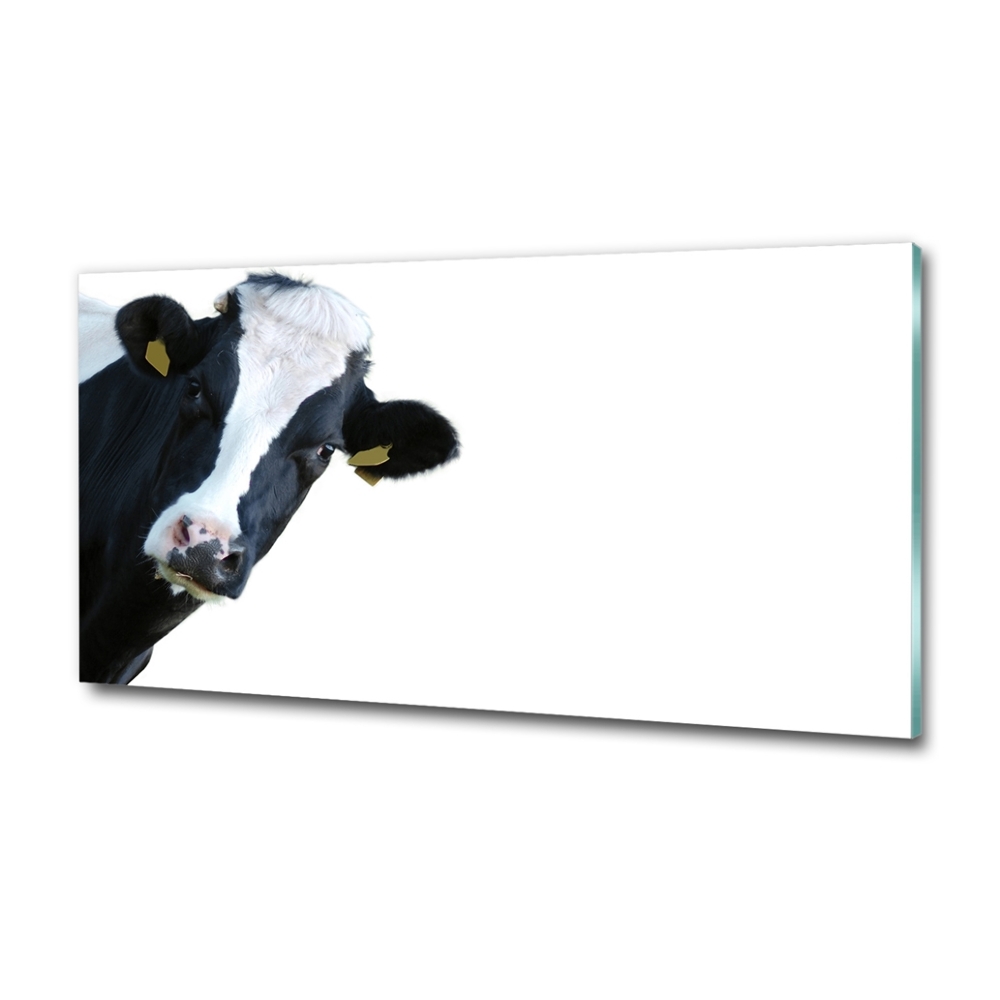 Tableau photo sur verre Vache