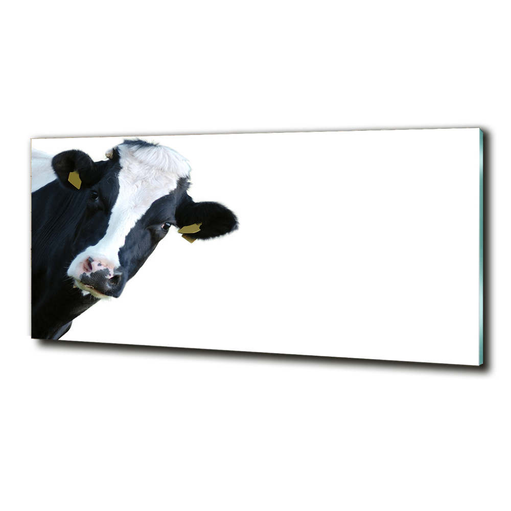 Tableau photo sur verre Vache