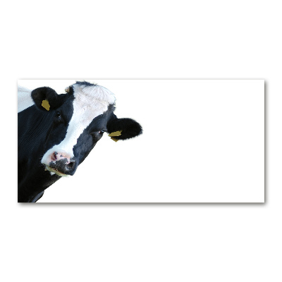 Tableau photo sur verre Vache