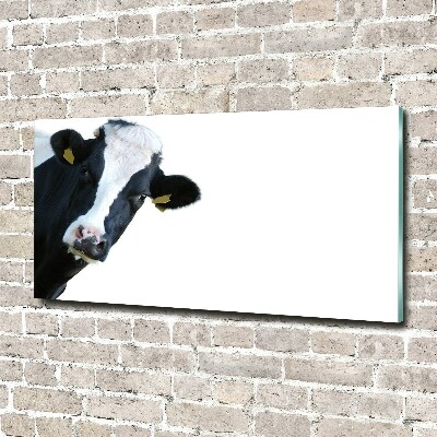 Tableau photo sur verre Vache