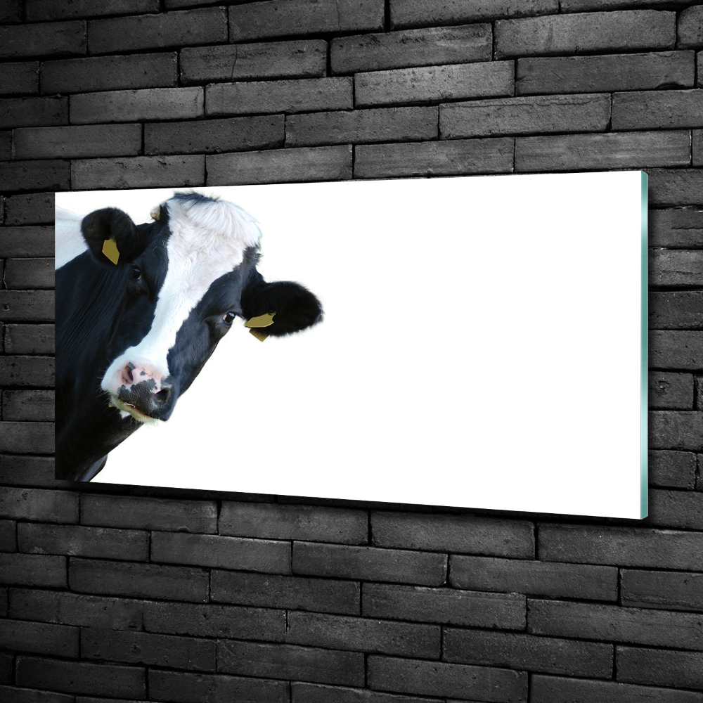 Tableau photo sur verre Vache