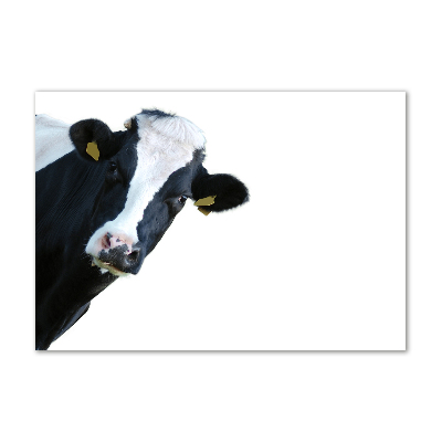 Tableau photo sur verre Vache