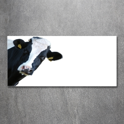 Tableau photo sur verre Vache