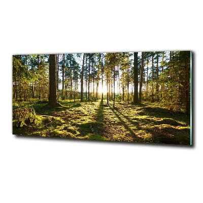 Tableau en verre Forêt de pins