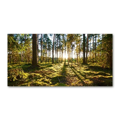 Tableau en verre Forêt de pins