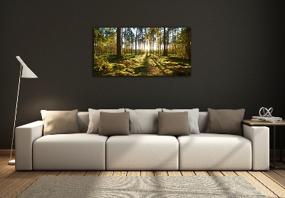 Tableau en verre Forêt de pins