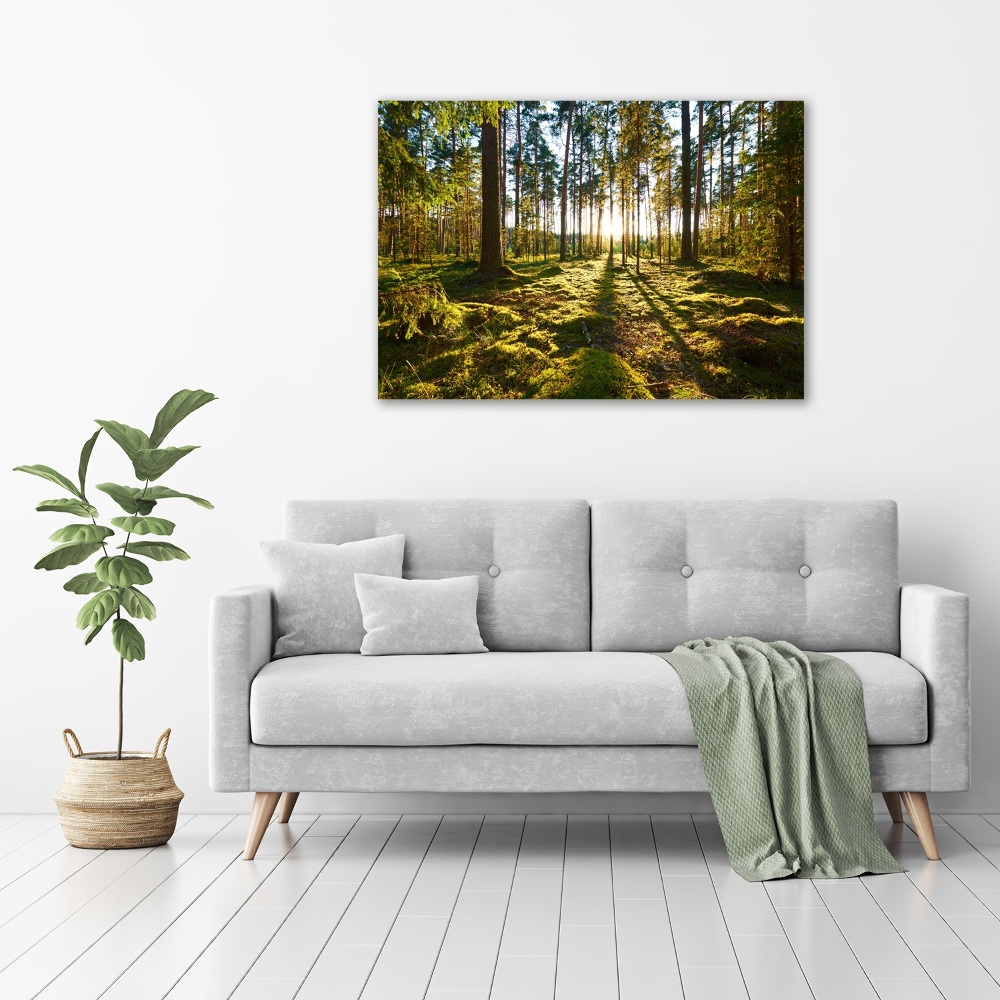 Tableau en verre Forêt de pins