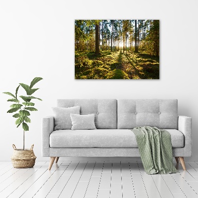 Tableau en verre Forêt de pins