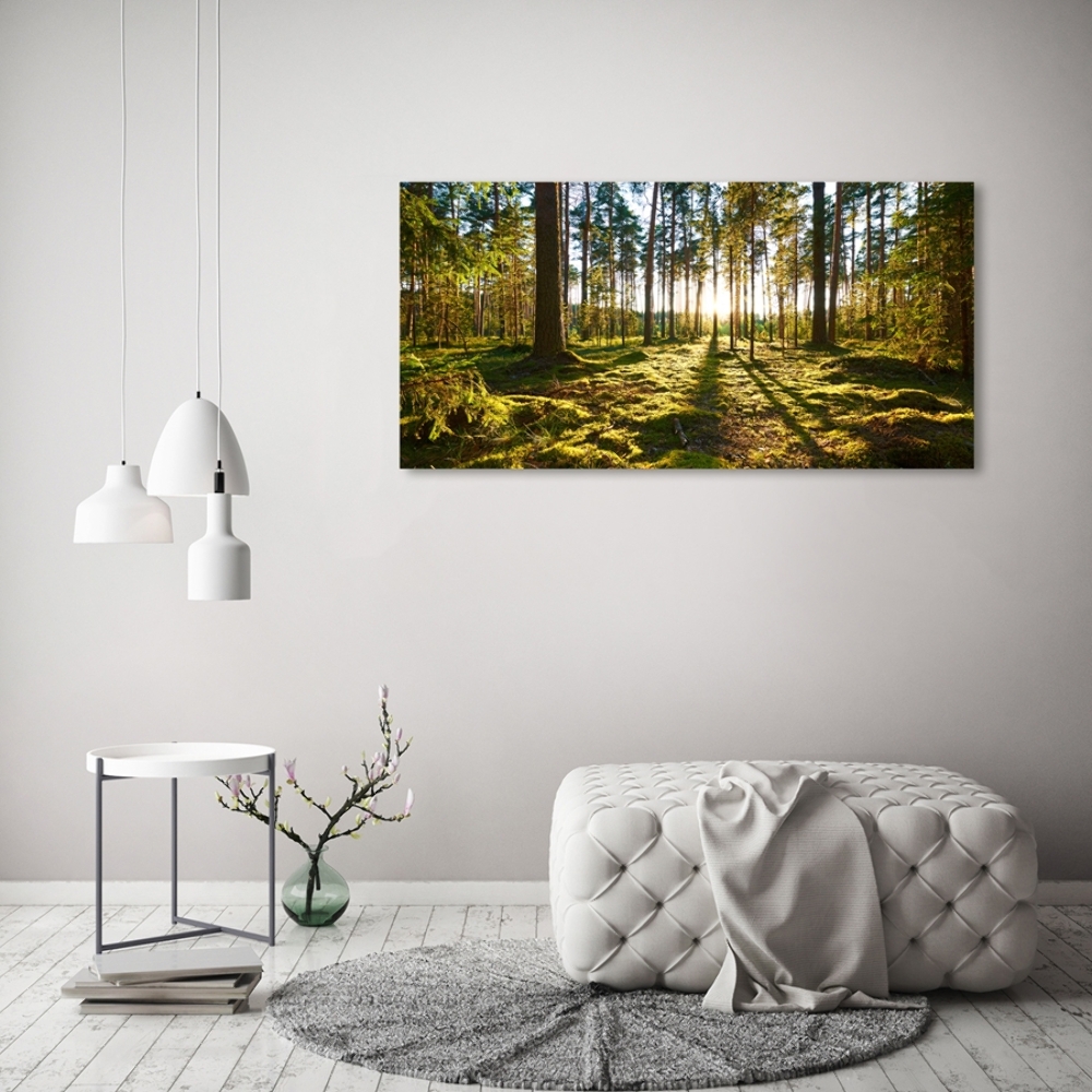 Tableau en verre Forêt de pins