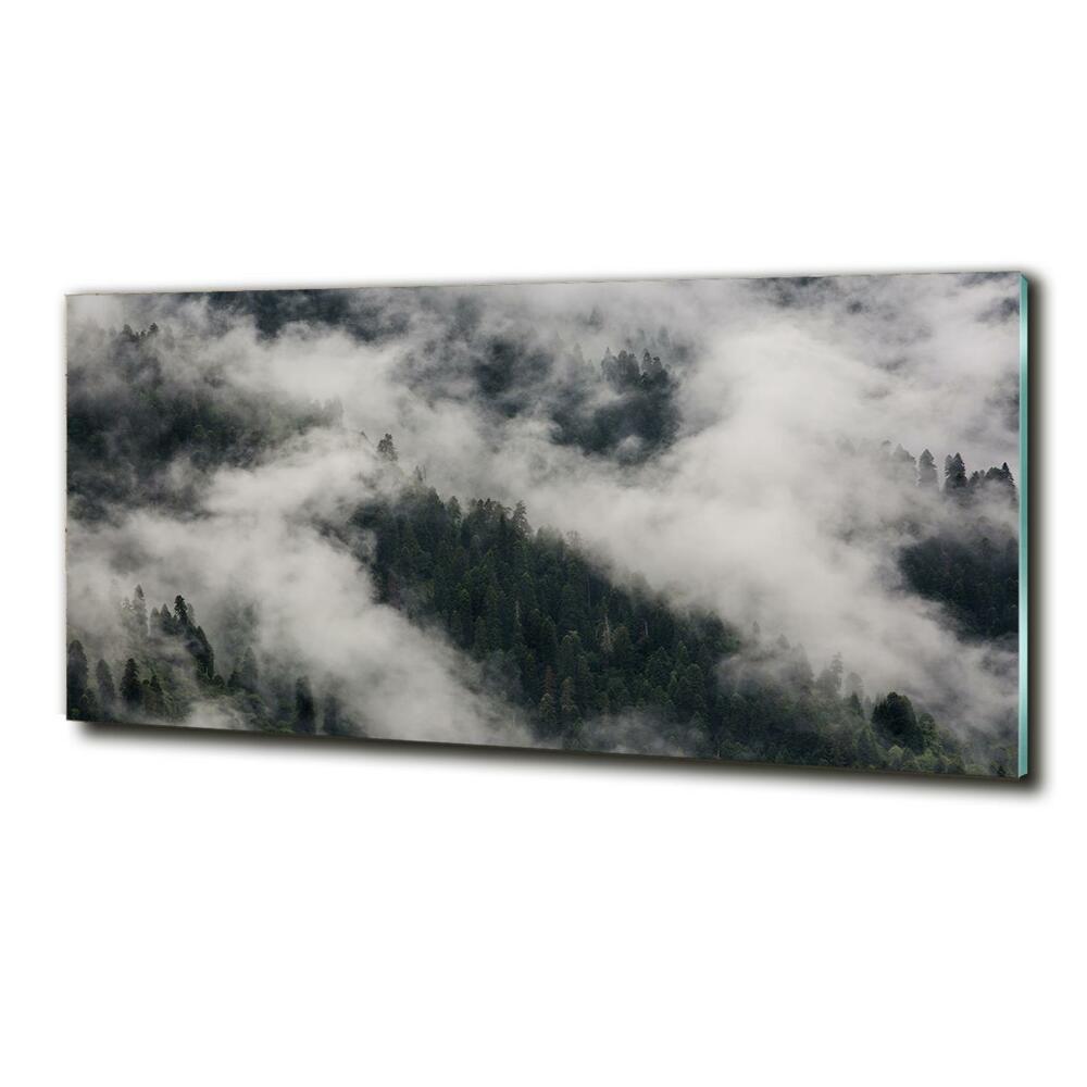 Tableau sur verre Brouillard sur la forêt