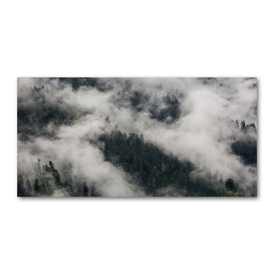 Tableau sur verre Brouillard sur la forêt