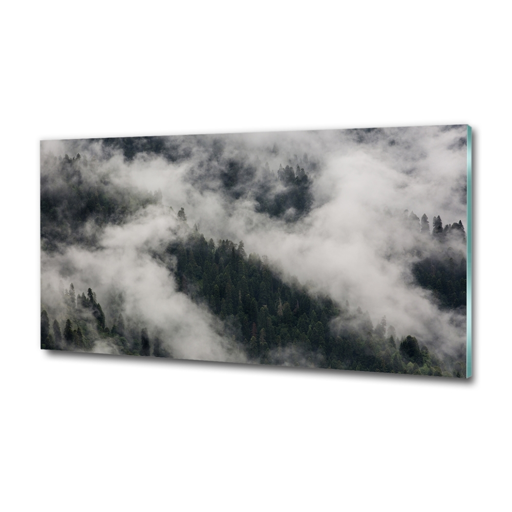 Tableau sur verre Brouillard sur la forêt