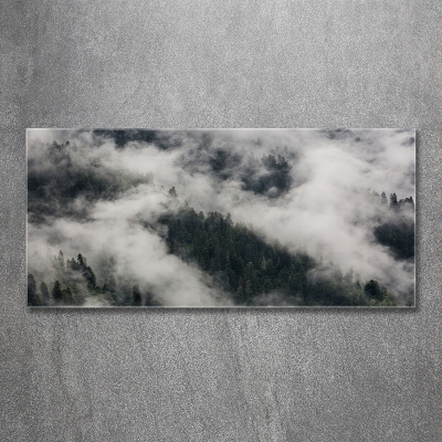 Tableau sur verre Brouillard sur la forêt