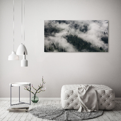 Tableau sur verre Brouillard sur la forêt