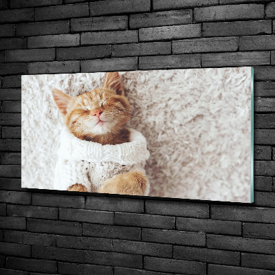 Tableau imprimé sur verre Chat en pull-over