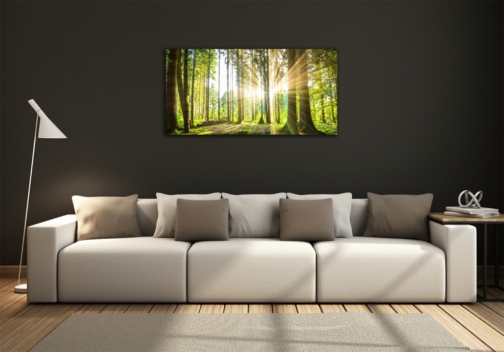 Tableau photo sur verre Forêt au soleil