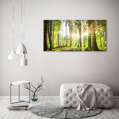 Tableau photo sur verre Forêt au soleil