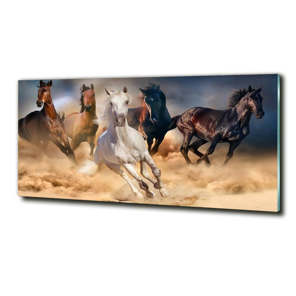 Tableau imprimé sur verre Chevaux de marche