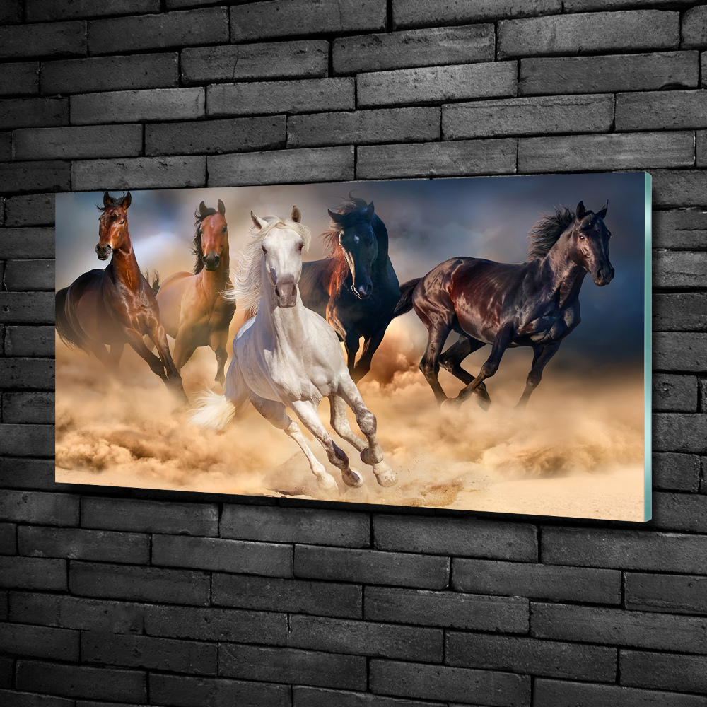 Tableau imprimé sur verre Chevaux de marche