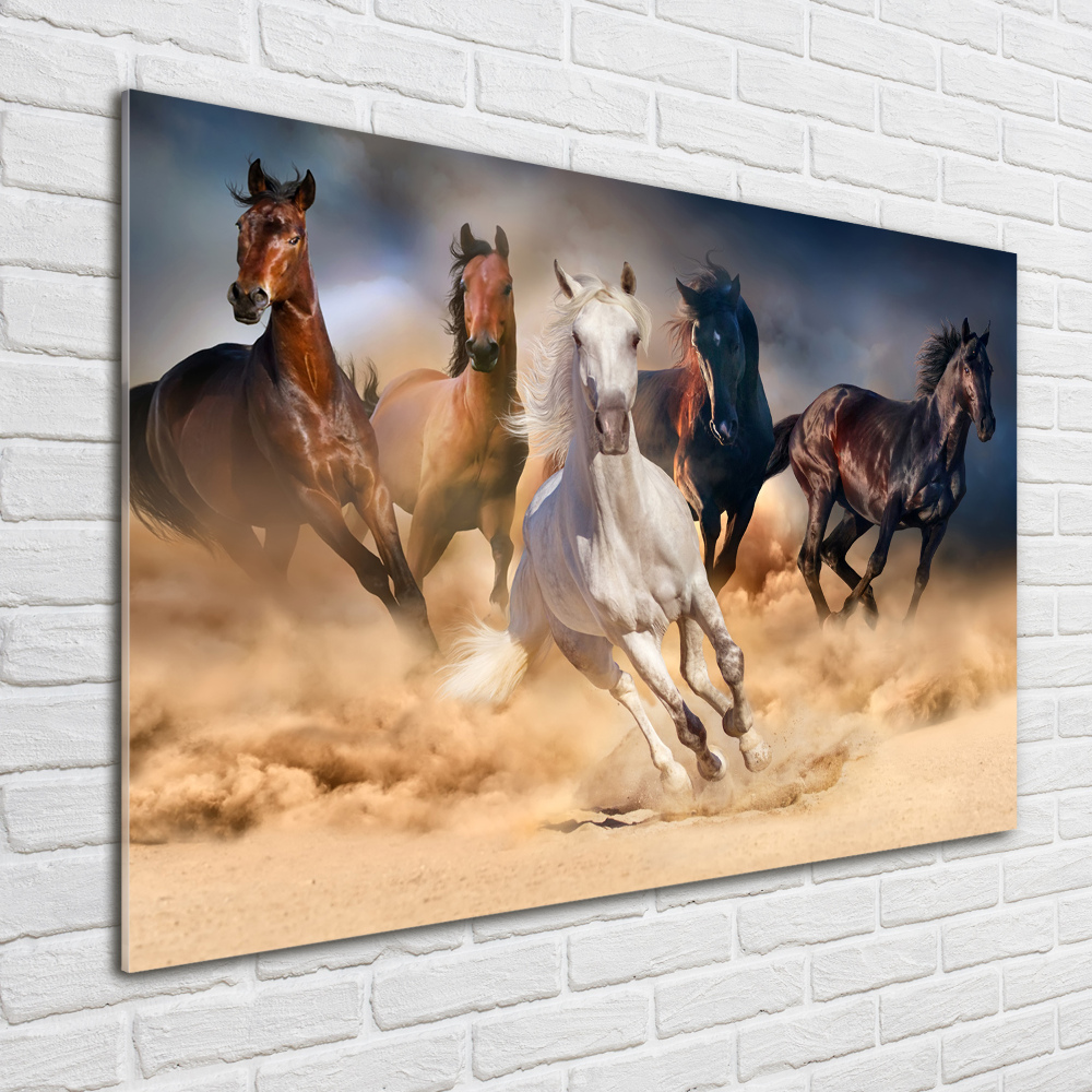 Tableau imprimé sur verre Chevaux de marche