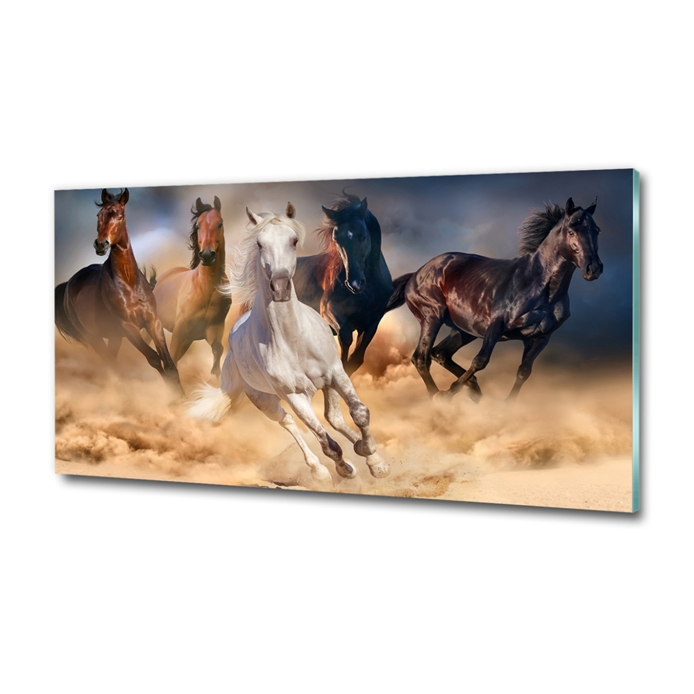 Tableau imprimé sur verre Chevaux de marche