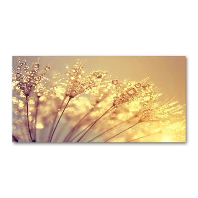 Tableau photo sur verre Goutte à goutte