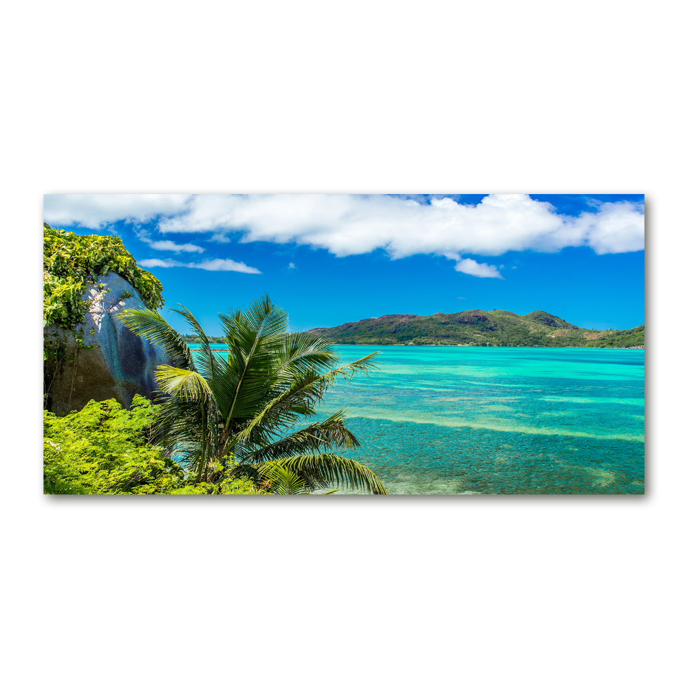 Tableau sur verre Côte des Seychelles