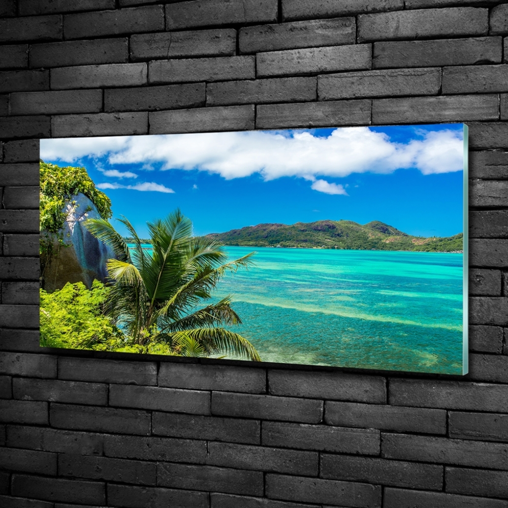 Tableau sur verre Côte des Seychelles