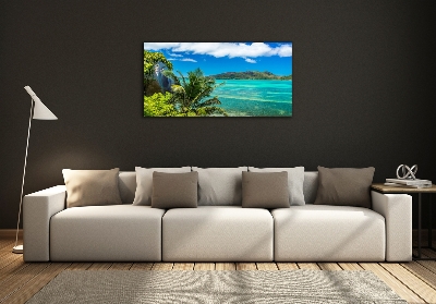 Tableau sur verre Côte des Seychelles