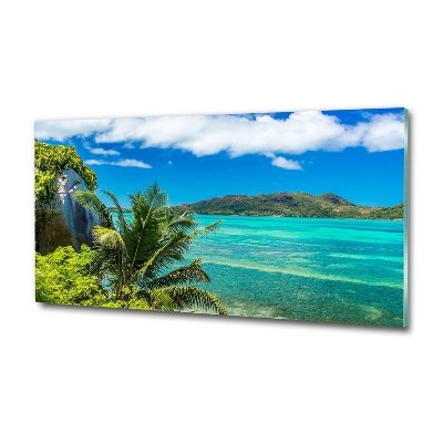 Tableau sur verre Côte des Seychelles