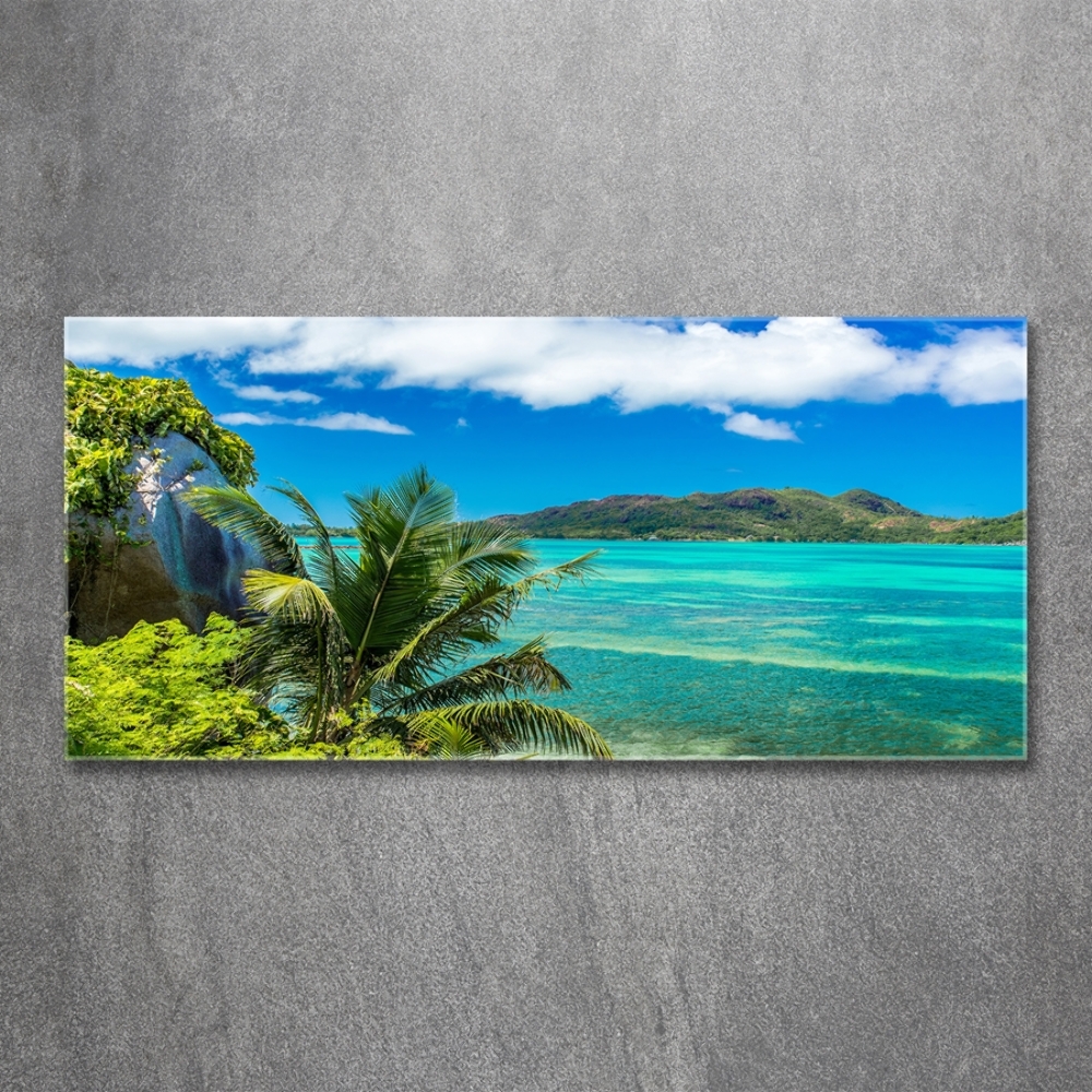 Tableau sur verre Côte des Seychelles