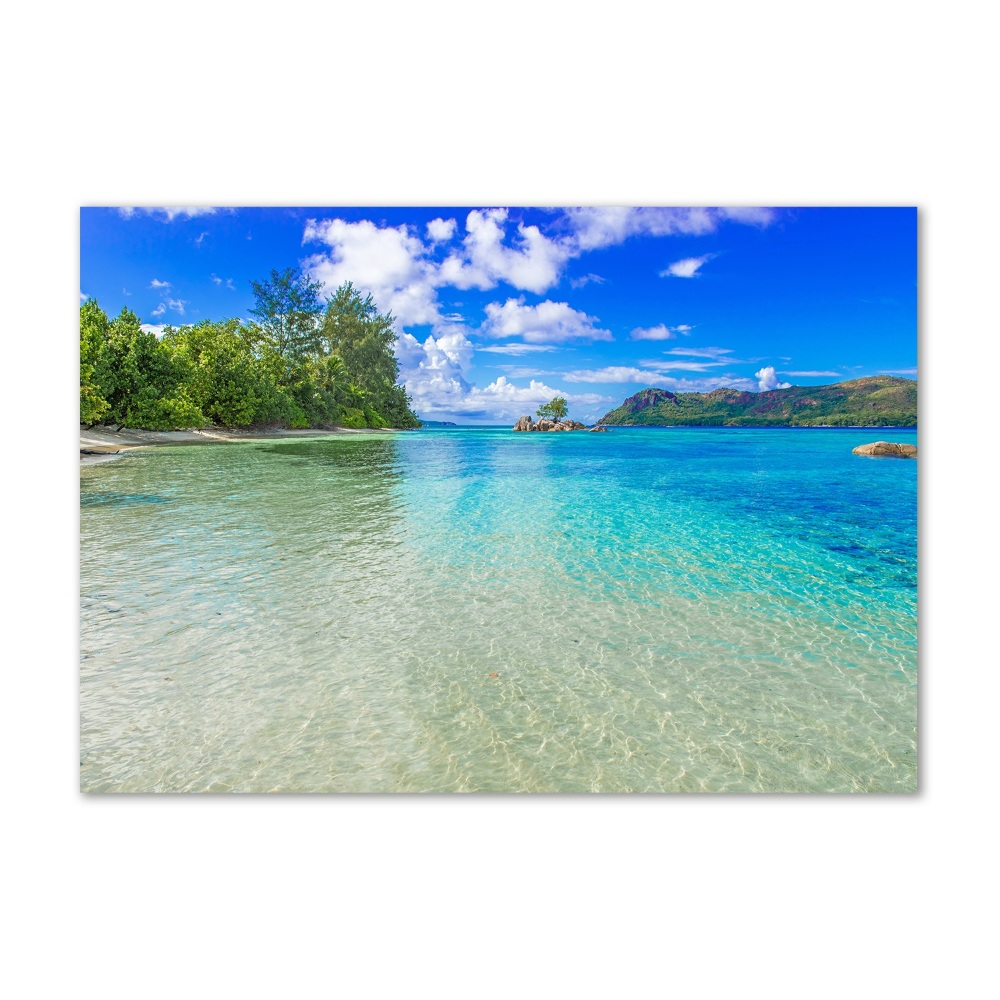 Tableau verre imprimé Plage aux Seychelles