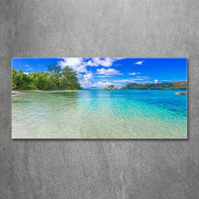 Tableau verre imprimé Plage aux Seychelles