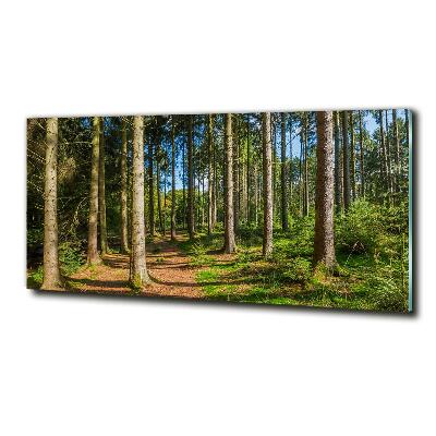 Tableau sur verre Panorama d'une forêt