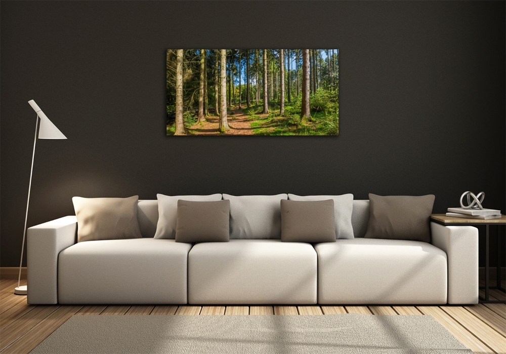 Tableau sur verre Panorama d'une forêt