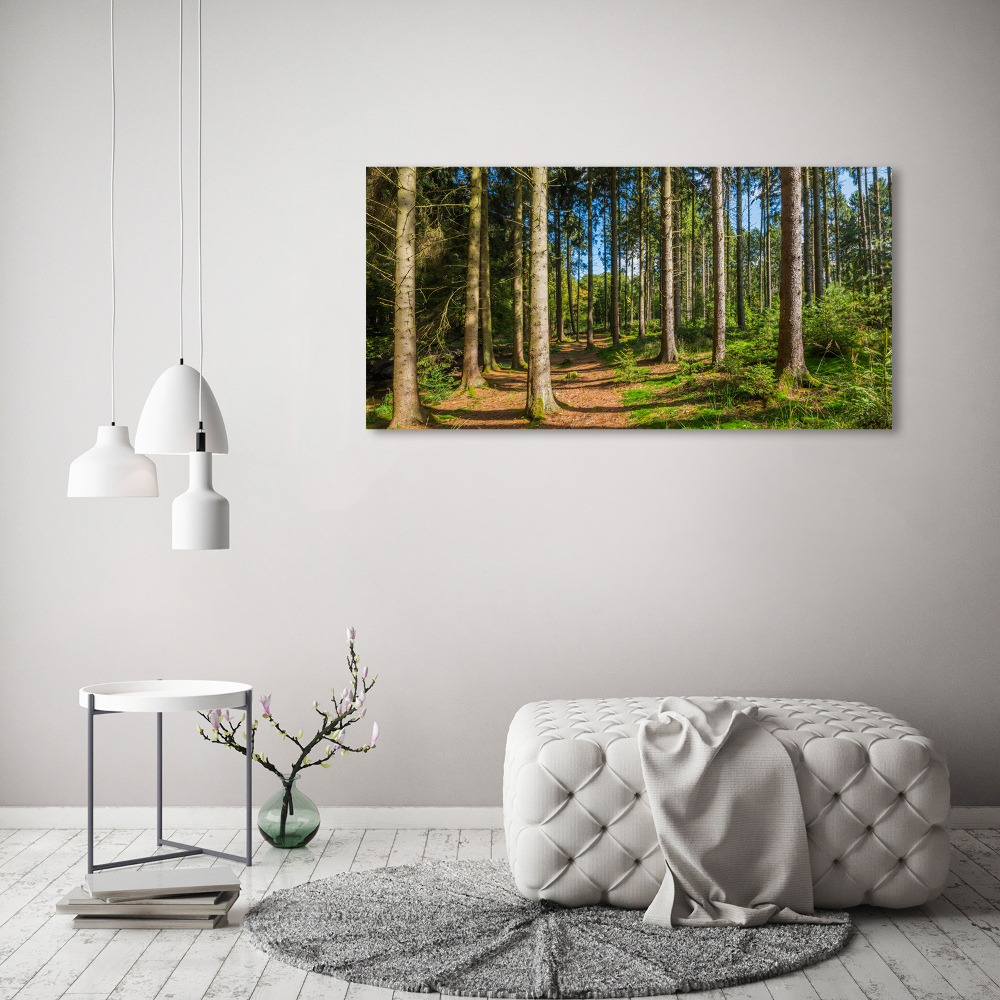 Tableau sur verre Panorama d'une forêt