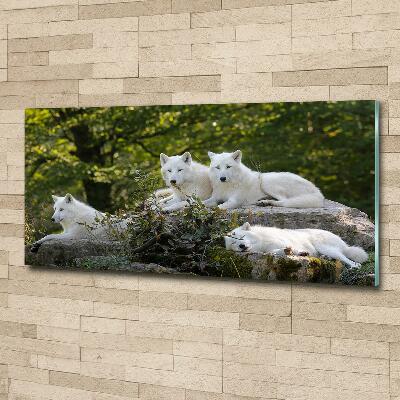 Tableau verre imprimé Rocher du loup blanc