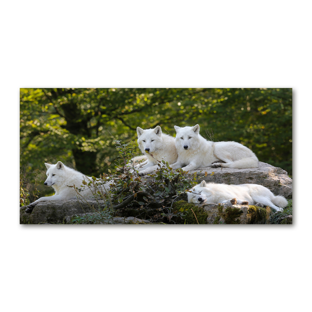 Tableau verre imprimé Rocher du loup blanc