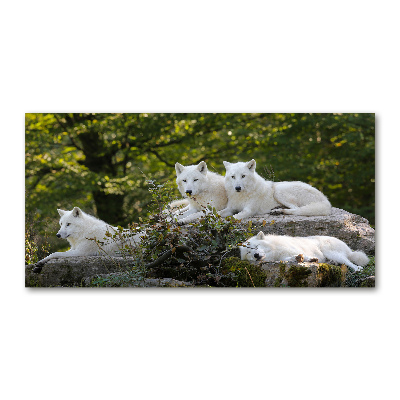 Tableau verre imprimé Rocher du loup blanc