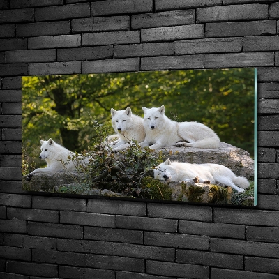 Tableau verre imprimé Rocher du loup blanc