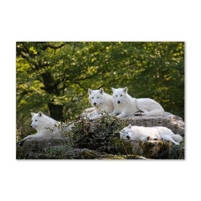 Tableau verre imprimé Rocher du loup blanc