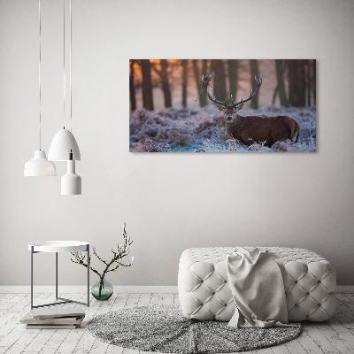 Tableau imprimé sur verre Cerf à l'aube