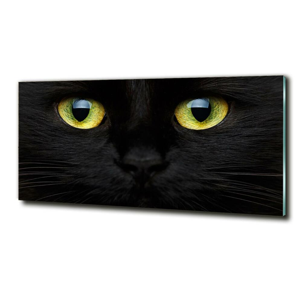 Tableau verre imprimé Yeux de chat