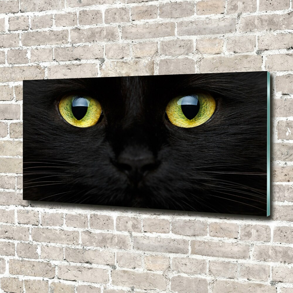 Tableau verre imprimé Yeux de chat