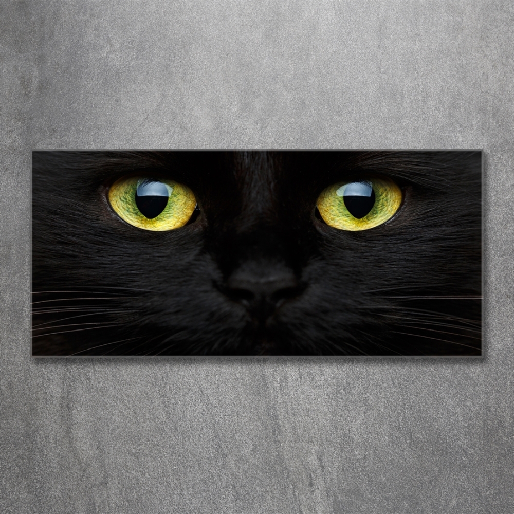 Tableau verre imprimé Yeux de chat