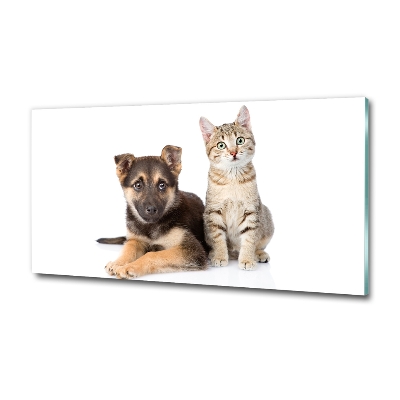 Tableau en verre Chien et chat