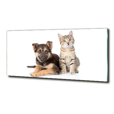 Tableau en verre Chien et chat